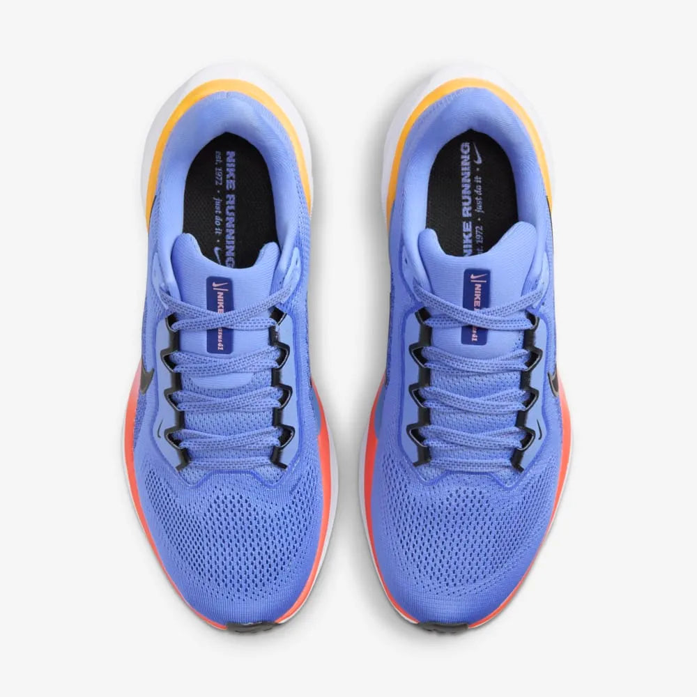 Nike Pegasus 41